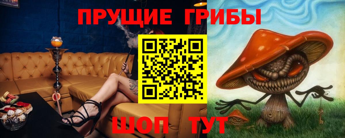 Галлюциногенные грибы Cubensis  Вход с VPN  Псилоцибиновые грибы MAGIC MUSHROOMS  Полысаево 